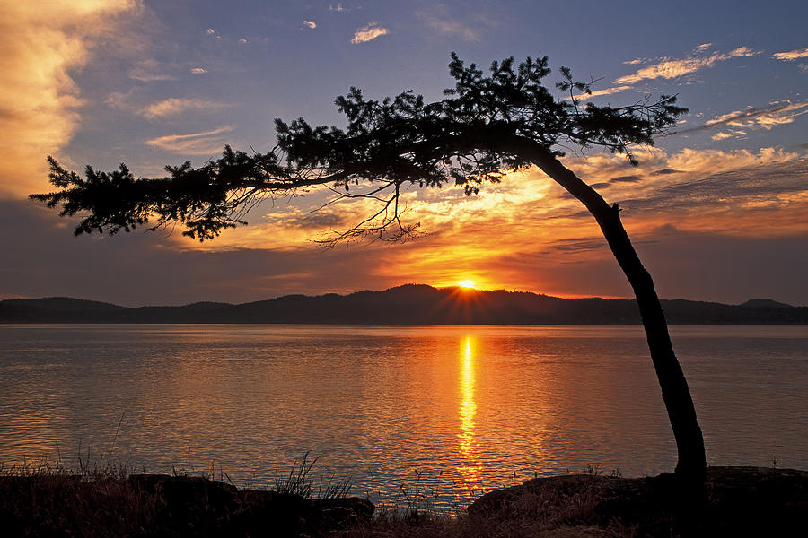 Mountain Photograph - Island Sunrise by Inge Riis McDonald