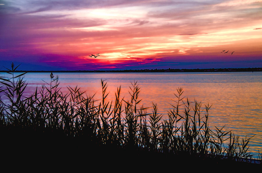 Island Sunset Photograph by Cathy Kovarik