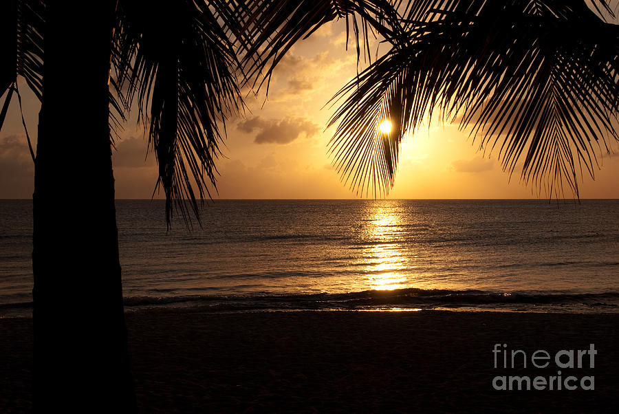 Sunset Photograph - Island Sunset by Charles Dobbs