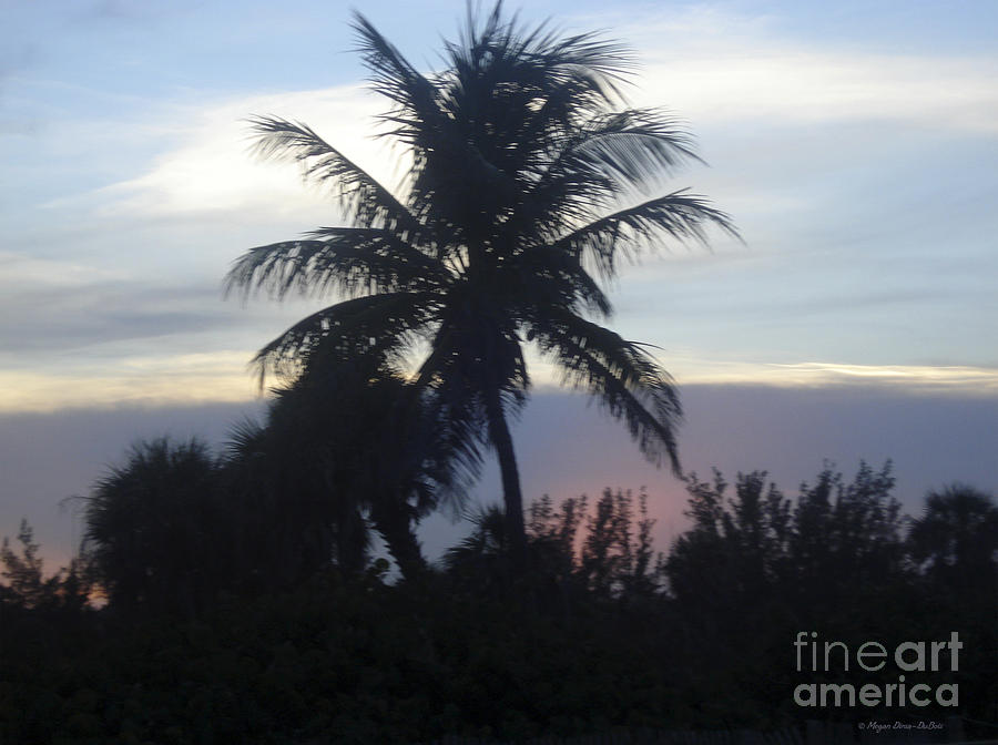 Island Sunset Photograph by Megan Dirsa-DuBois
