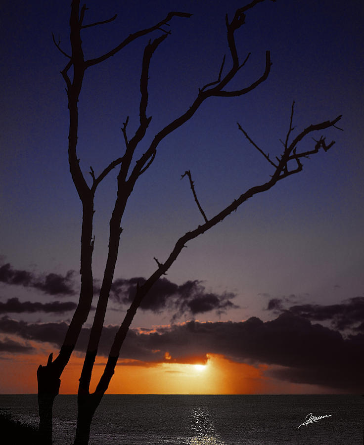 Island Sunset Photograph by Phil Jensen