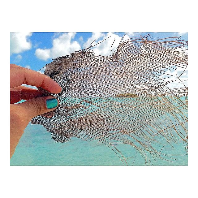 Island Textures | ☼ Photograph by Alejandra Lara
