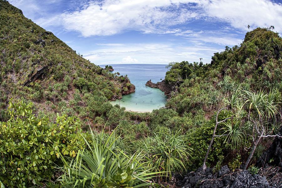 Island Vegetation Photograph by Ethan Daniels
