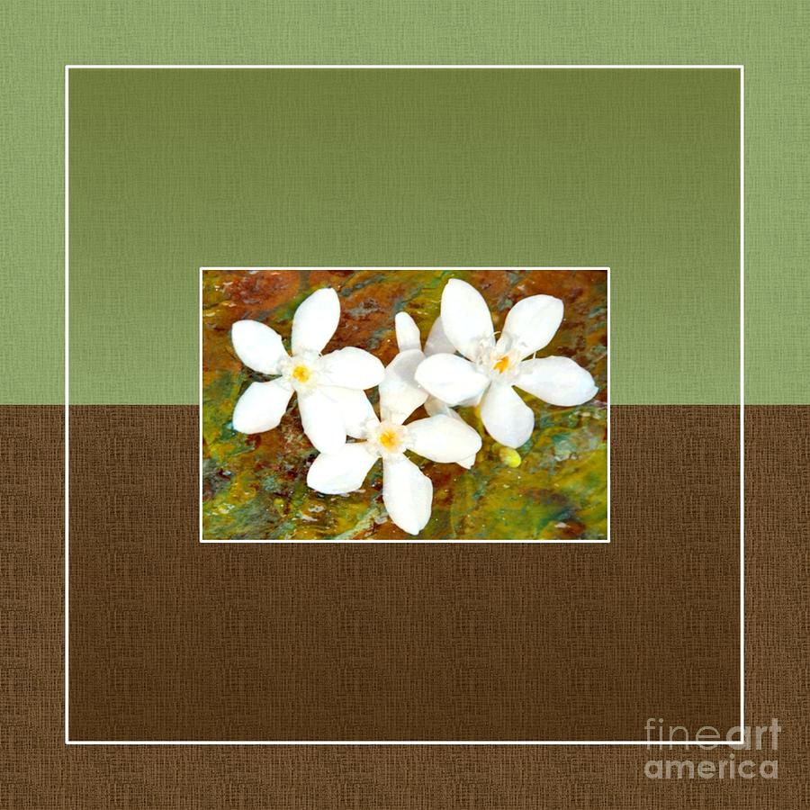 Flower Digital Art - Islander-no1 by Darla Wood