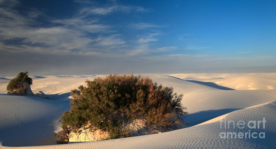 Islands In White Sands Photograph by Adam Jewell