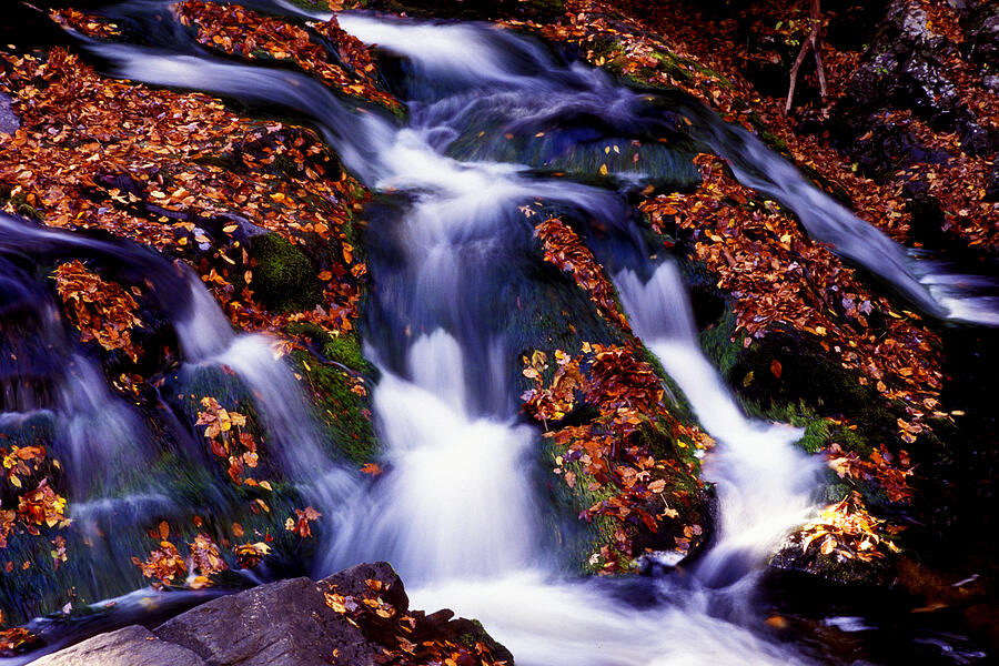 Waterfall Photograph - Islands of Leaves by Paul W Faust -  Impressions of Light