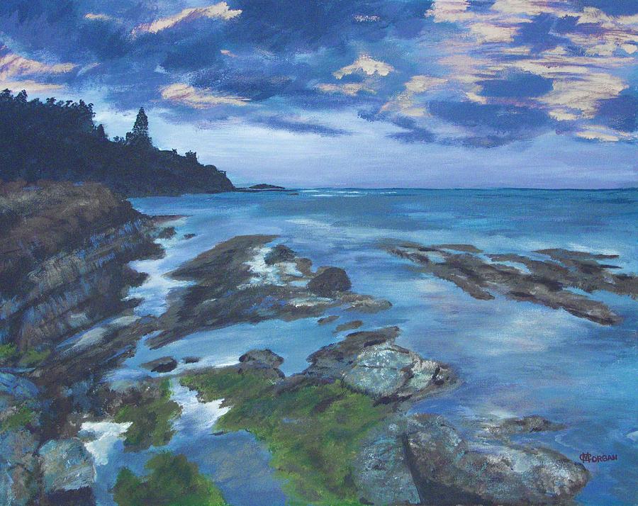 Isle Coast Painting by Cynthia Morgan