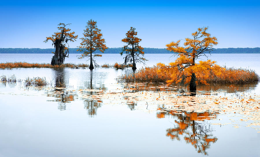 Isle of Peace - North Carolina Photograph by Dan Carmichael