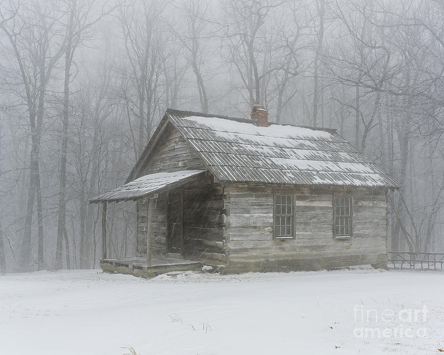 Isolated Photograph by Anthony Heflin