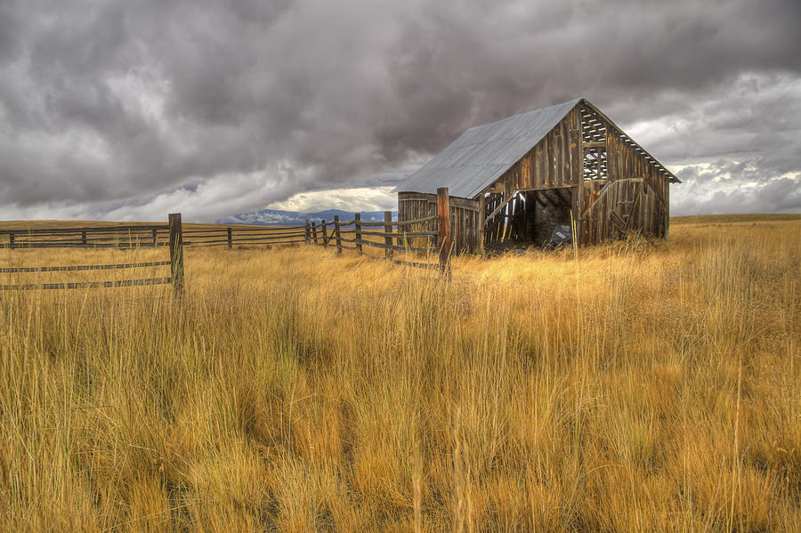 Isolated Barn in Oregon Photograph by Jean Noren