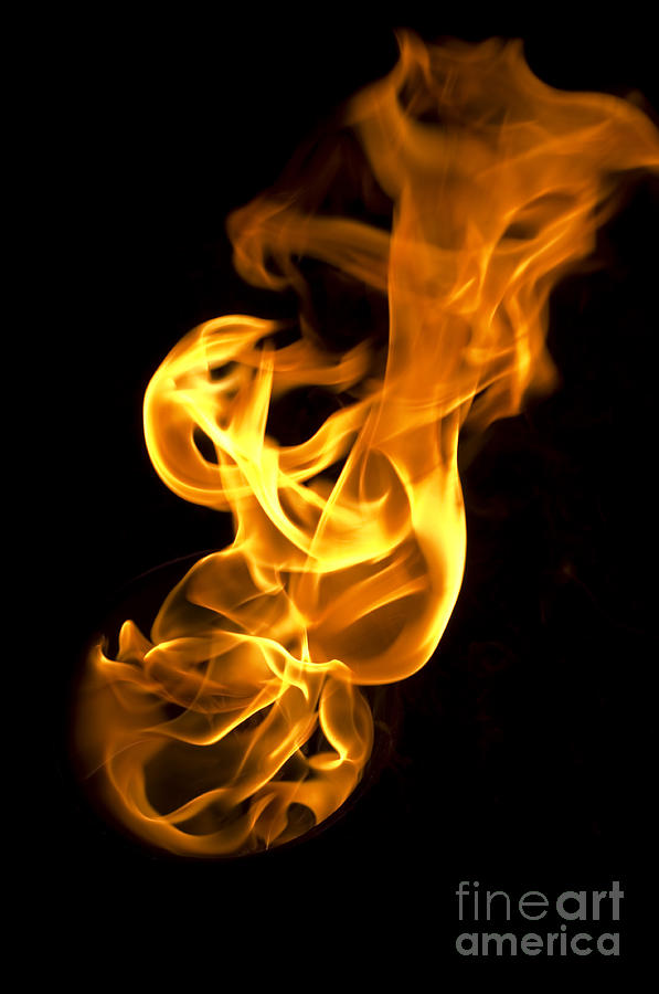 Fire Photo on a Black Background Stock Photo  Image of background  flammable 6182626