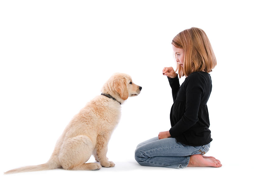 Isolated image of girl sitting on floor with treat and puppy Photograph by Carebott
