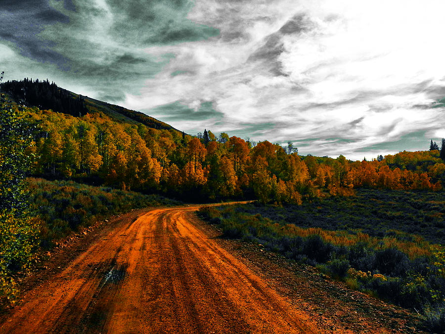 Nature Photograph - Isolation Road by Brandyn King
