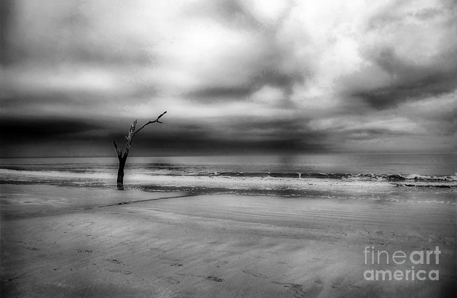 Beach Photograph - Isolation by Skip Willits