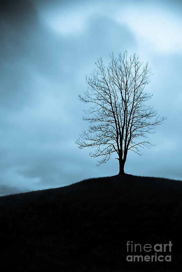Fall Photograph - Isolation by Syed Aqueel