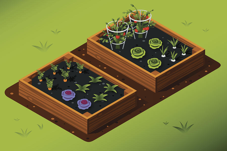 Isometric Vegetable Garden Drawing by Appleuzr