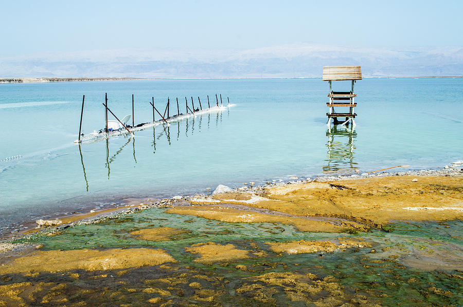 Israel Dead Sea Photograph by Andrew W.b. Leonard