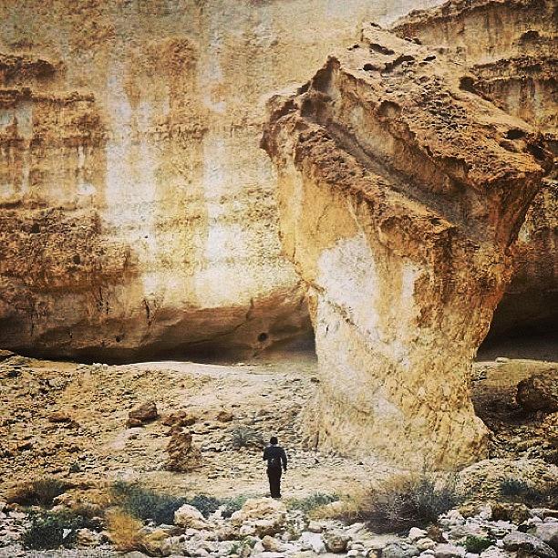 Nature Photograph - #israel #middleeast #desert #nature by Eli Portman