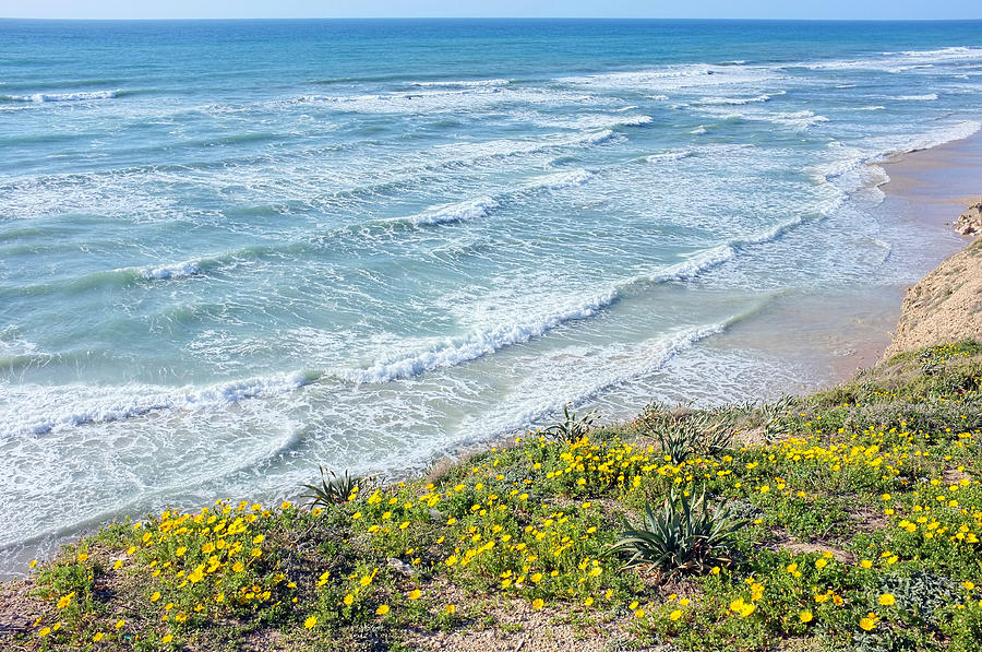 Israel, The Spring At The Mediterranean Photograph by Iaisi