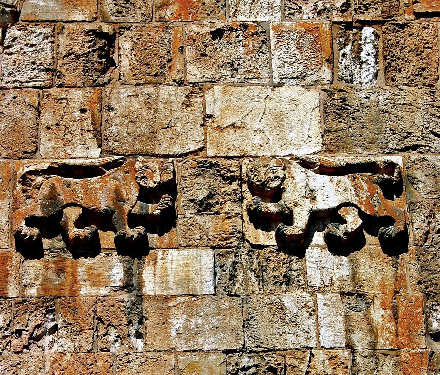 Israel Wall Bas Relief Photograph by Henry Kowalski