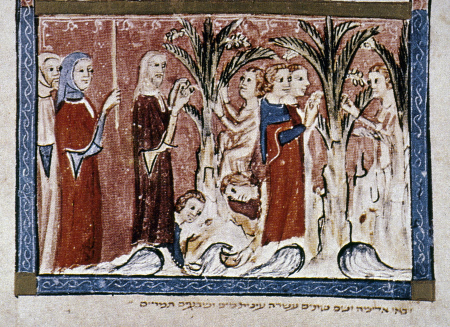 Israelites In Desert At Elim Painting by Granger