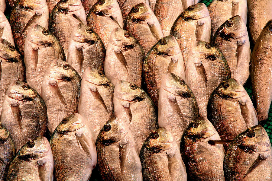 Istanbul Market Fish Photograph by Jim Vance