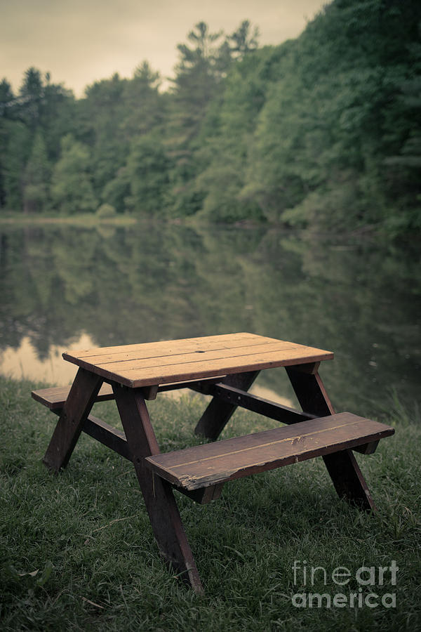 Furniture Photograph - It came from the lake by Edward Fielding