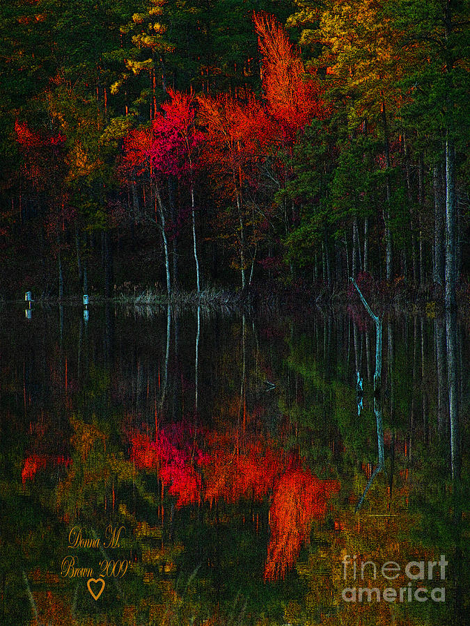 It Fall Time Again Photograph by Donna Brown