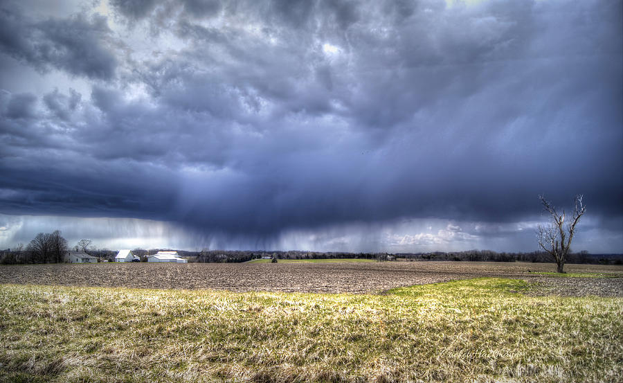 It Looks Like Rain Photograph by Cricket Hackmann