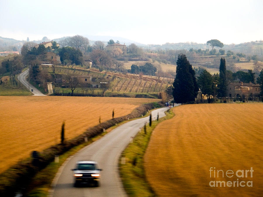 Italian Country Road Photograph by Tim Holt