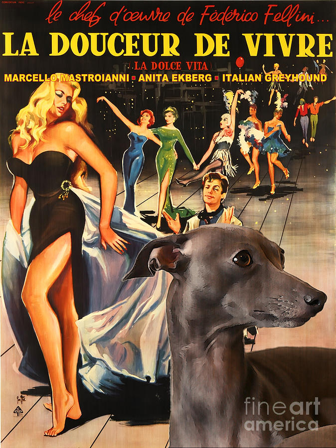 Italian Greyhound Art - La Dolce Vita Movie Poster Painting by Sandra Sij