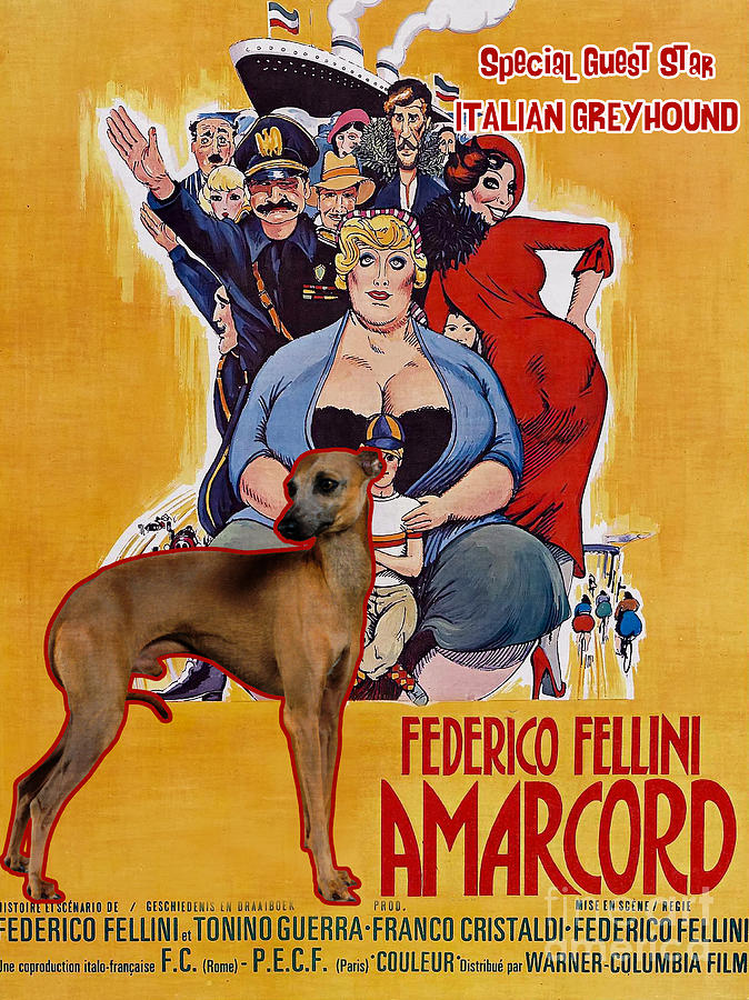 Italian Greyhound Art Canvas Print - Amarcord Movie Poster Painting by Sandra Sij