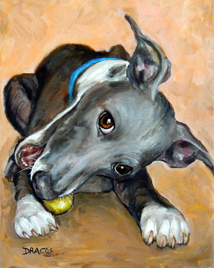 Italian Greyhound Painting - Italian Greyhound with Ball by Dottie Dracos