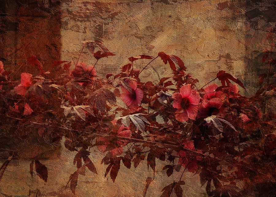 Italian Impasto Style Coral Floral Branch Photograph by Carla Parris