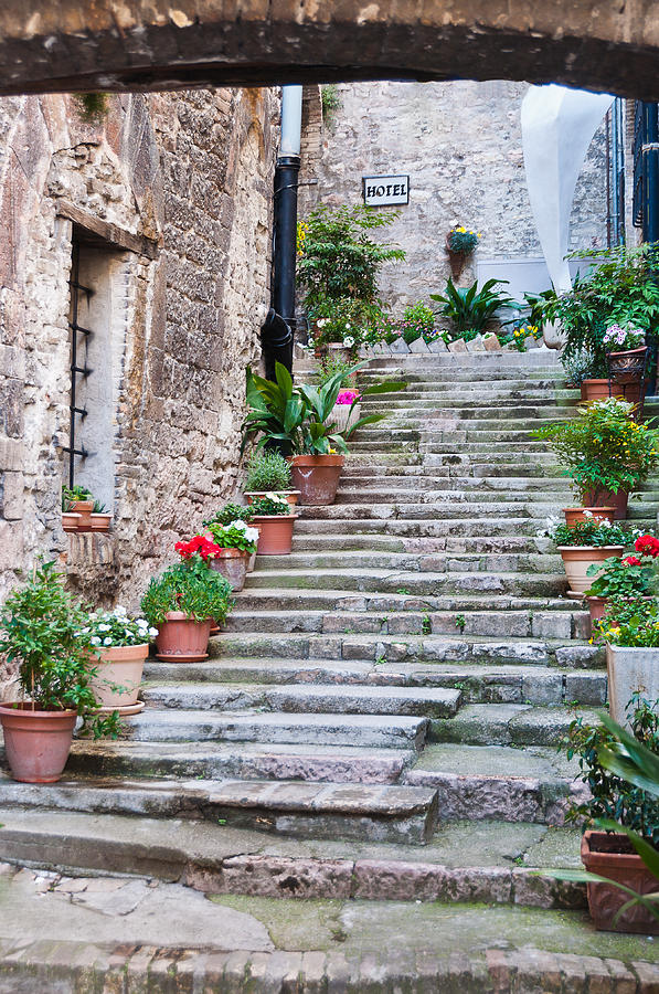 Italian Stairway Photograph by Georgette Grossman