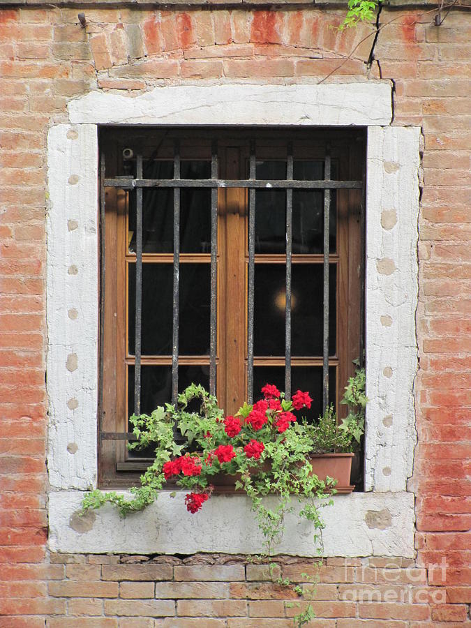 Italian Window Photograph by Anita Adams