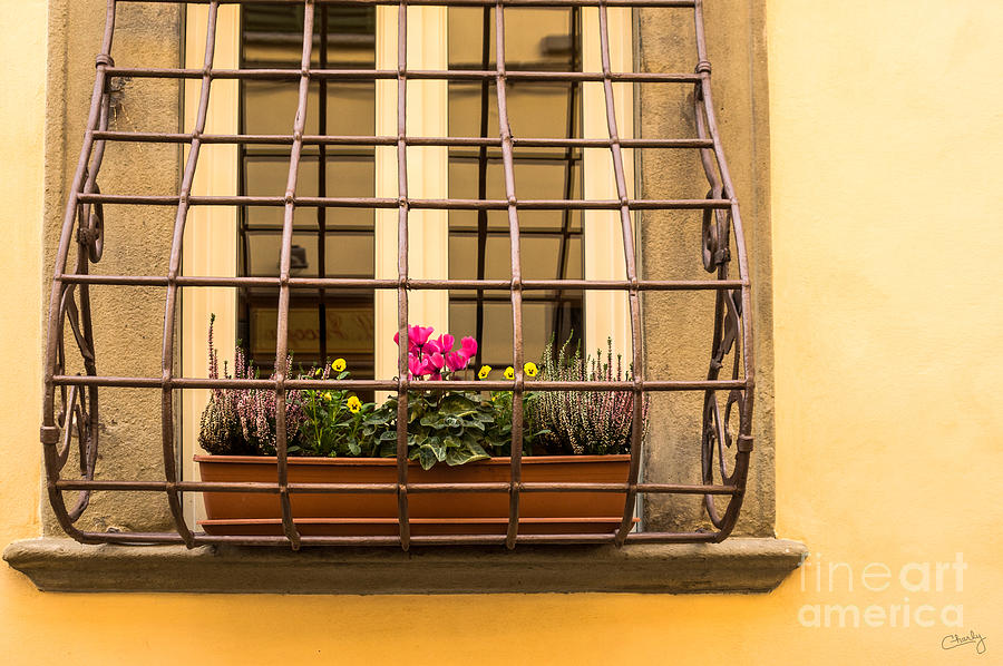 Flower Photograph - Italian Window Box by Prints of Italy