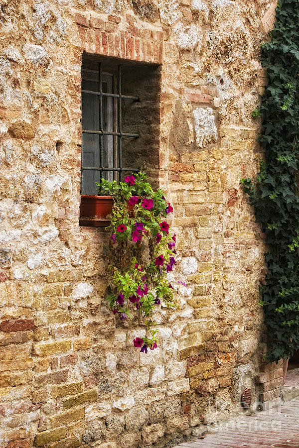 Italian Window Box Photograph by Timothy Hacker