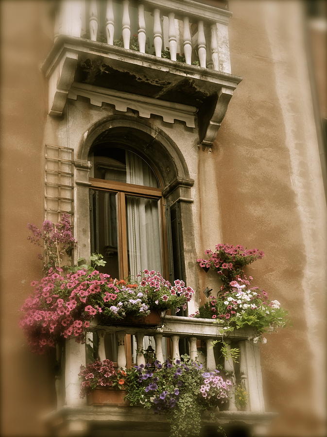 Italian Windowbox 2 Photograph by Teresa Tilley