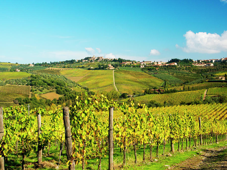 Italy, Tuscany, Chianti, Panzano Photograph by Terry Eggers - Fine Art ...