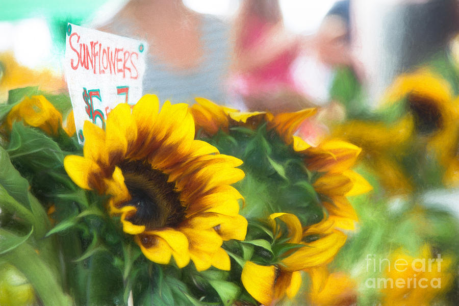 Farmers Market Sunflowers Digital Art by Michele Steffey