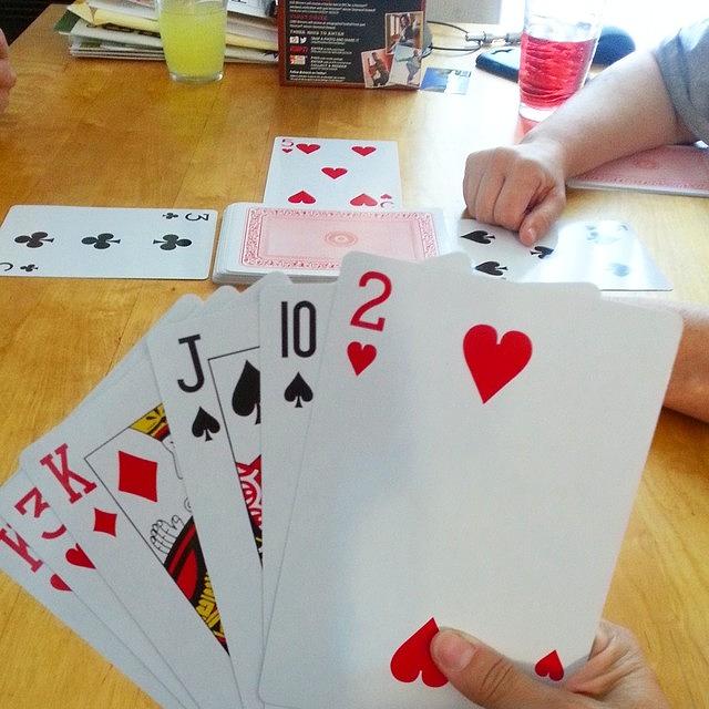 Its A Big Card Game Today, Folks! Photograph by Lisa Marchbanks