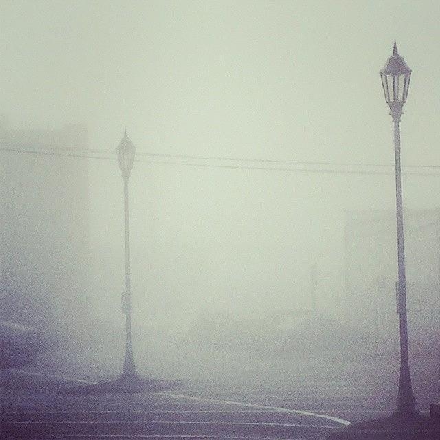 Day Photograph - Its A Really Good Fog Out There.

# by Joseph DAiro