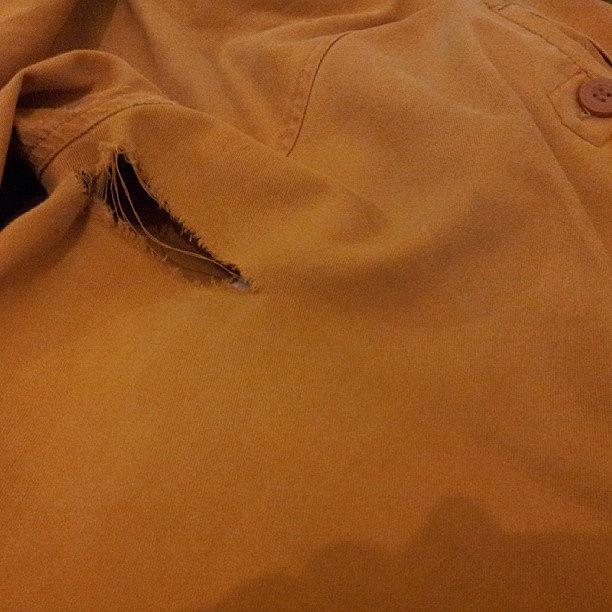 Its A Sad Day. Rip Mustard Trousers Photograph by Ben Reeson