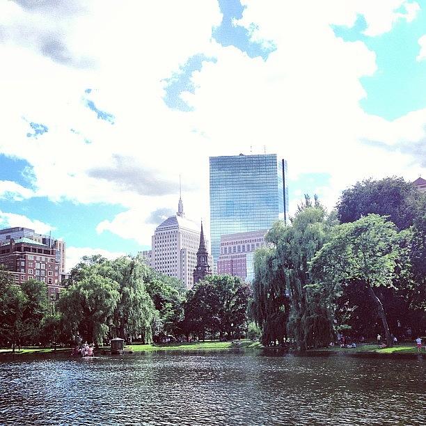 Boston Photograph - Its A Sunny Day In Boston (c)
#boston by Khamid B