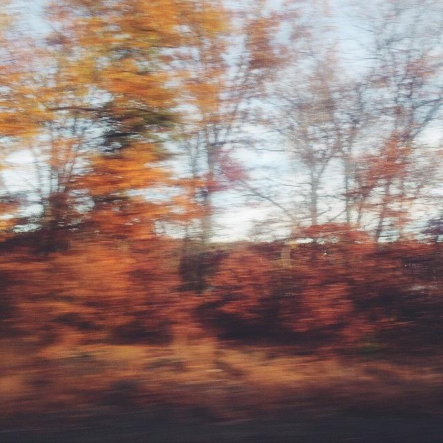 Fall Photograph - Its All A Blur by Allie Wisniewski