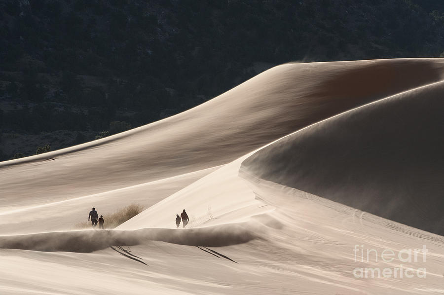 Its All Uphill Photograph by Sandra Bronstein