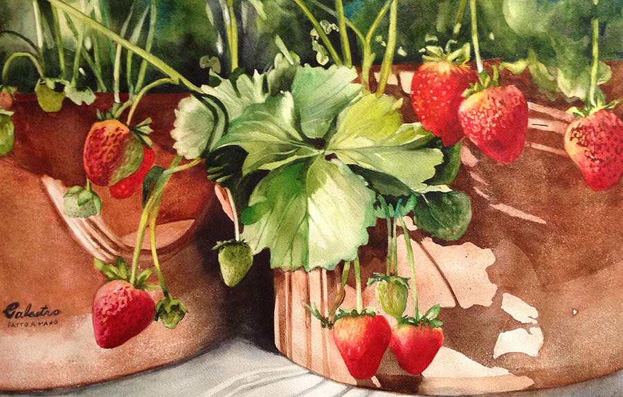 Strawberry Painting - Its Berry Season by Diane Fujimoto