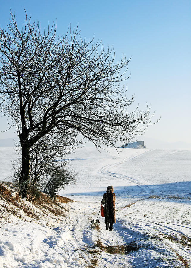 Its Cold Outside Photograph by Gabriele Pomykaj