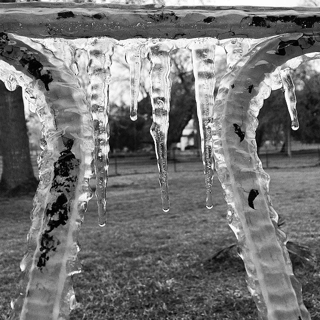 Frozen Photograph - Its Freaking Cold!! #icicles #frozen by Ava Barbin-king